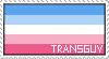 transguy